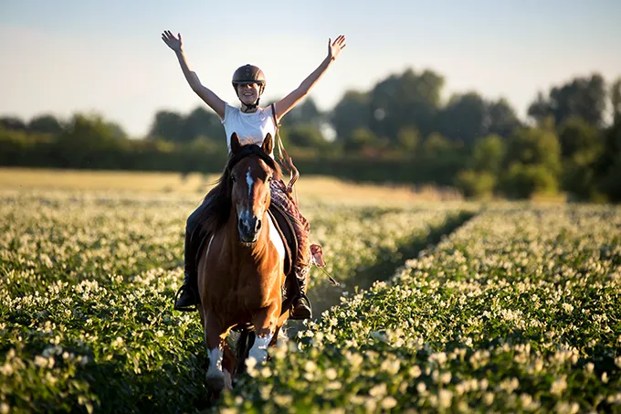 Junge Frau auf einem Pferd